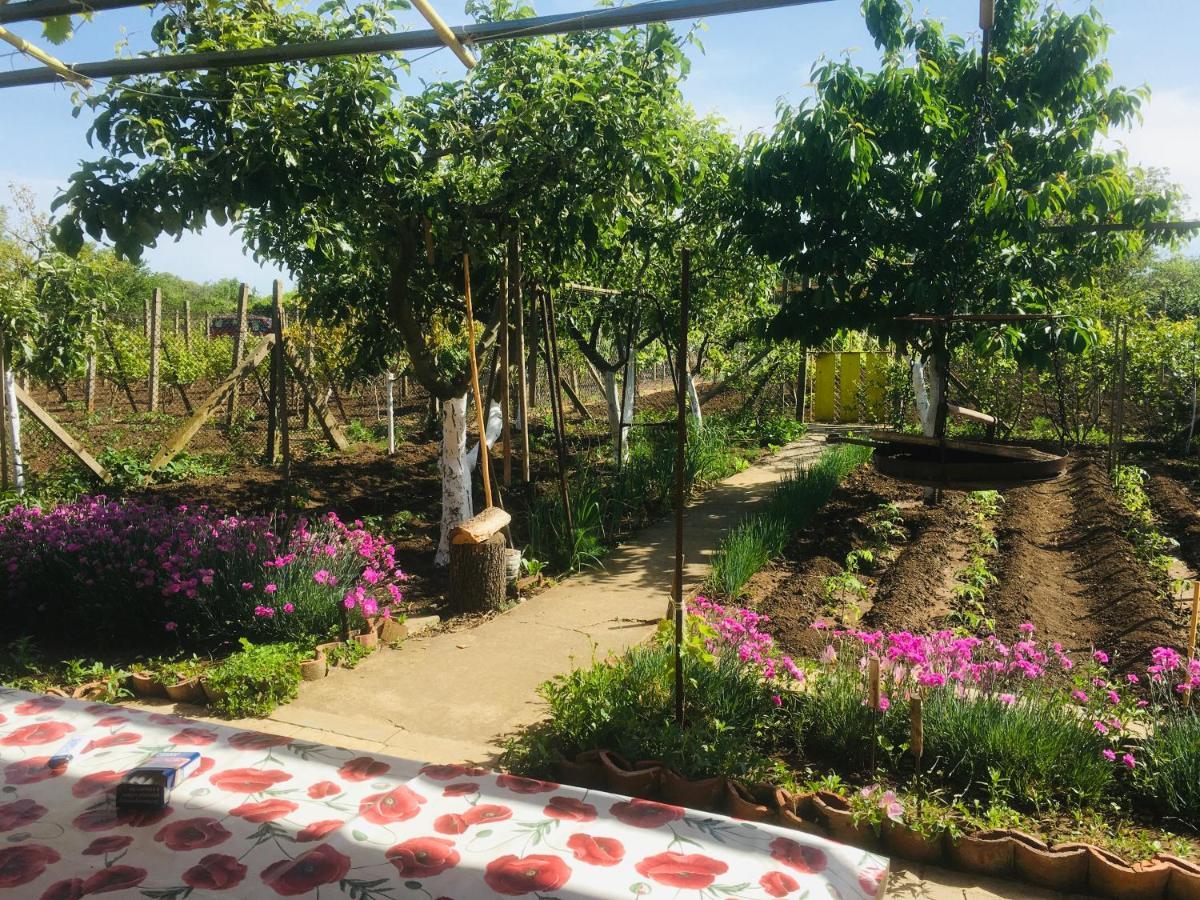 Бунгало- Bungalow Kavarna Esterno foto